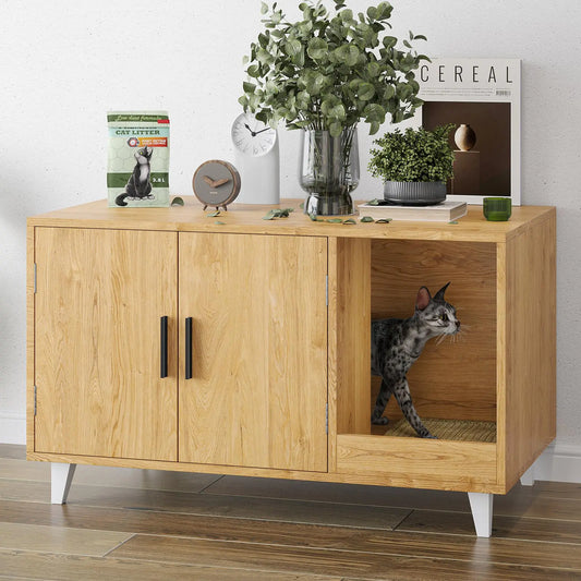 Pawsitively Trending: The Latest Must-Have Pet Finds